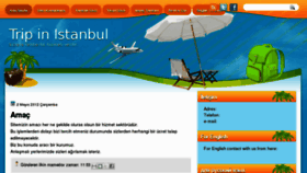 What Tripinistanbul.com website looked like in 2013 (11 years ago)