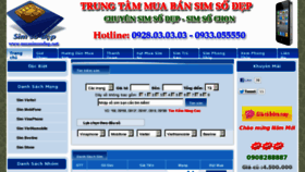 What Trungtamsimcard.com website looked like in 2013 (11 years ago)