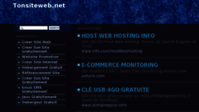 What Tonsiteweb.net website looked like in 2013 (10 years ago)