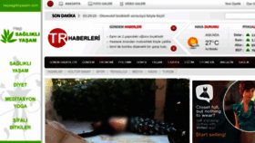 What Trhaberleri.com website looked like in 2013 (10 years ago)