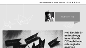 What Tescho.se website looked like in 2013 (10 years ago)