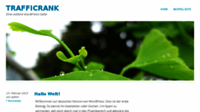 What Trafficrank.de website looked like in 2013 (10 years ago)