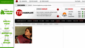 What Trhaberleri.com website looked like in 2013 (10 years ago)