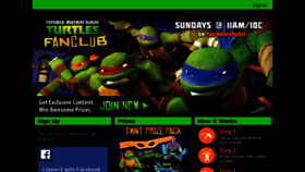 What Turtlesvsfoot.com website looked like in 2014 (9 years ago)