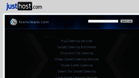What Teamcleans.com website looked like in 2014 (9 years ago)