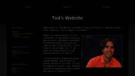 What Todmuller.com website looked like in 2015 (9 years ago)