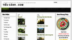 What Tieucanh.com website looked like in 2011 (13 years ago)
