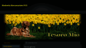 What Tesoromio.pl website looked like in 2015 (8 years ago)
