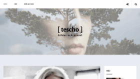 What Tescho.se website looked like in 2016 (8 years ago)