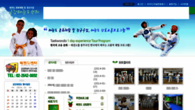 What Taekwontokorea.com website looked like in 2016 (8 years ago)