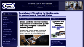 What Teamexpert.co.uk website looked like in 2016 (8 years ago)