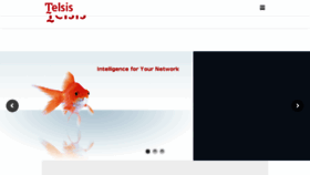 What Telsis.com website looked like in 2016 (9 years ago)