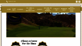 What Theoasisgolfclub.com website looked like in 2016 (8 years ago)