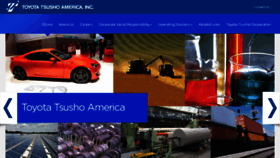 What Taiamerica.com website looked like in 2016 (8 years ago)