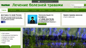 What Travmag.ru website looked like in 2016 (8 years ago)