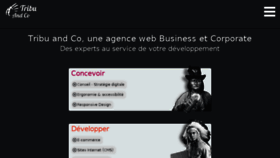 What Tribu-and-co.fr website looked like in 2016 (8 years ago)