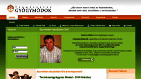 What Termeszetesgyogymodok.hu website looked like in 2016 (8 years ago)