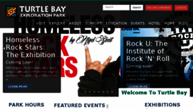 What Turtlebay.org website looked like in 2016 (8 years ago)