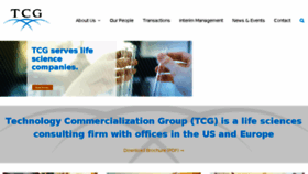 What T-c-group.com website looked like in 2016 (7 years ago)