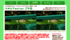 What Turtlekeeper.jp website looked like in 2016 (7 years ago)