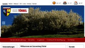 What Toerbel.ch website looked like in 2016 (7 years ago)