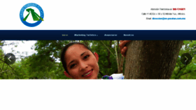 What Turismoyucatan.com website looked like in 2016 (7 years ago)
