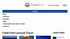 What Tulum.com website looked like in 2016 (7 years ago)