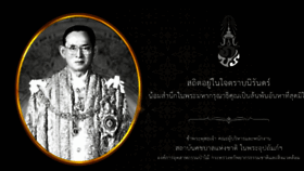 What Thailandelephant.org website looked like in 2016 (7 years ago)