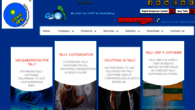 What Tallysolution.net website looked like in 2016 (7 years ago)