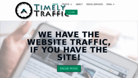 What Timelytraffic.com website looked like in 2016 (7 years ago)