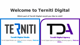 What Ternitidigital.co.za website looked like in 2016 (7 years ago)