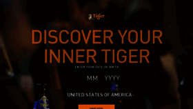 What Tigerbeer.com website looked like in 2016 (7 years ago)