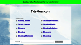 What Tidymom.com website looked like in 2016 (7 years ago)