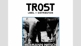 What Trost.at website looked like in 2016 (7 years ago)