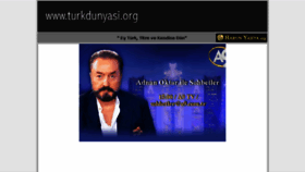 What Turkdunyasi.org website looked like in 2017 (7 years ago)