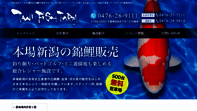 What Tanikoi.com website looked like in 2017 (7 years ago)
