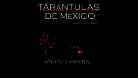 What Tarantulasdemexico.com website looked like in 2017 (7 years ago)