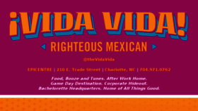 What Thevidavida.com website looked like in 2017 (7 years ago)