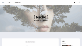 What Tescho.se website looked like in 2017 (7 years ago)