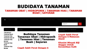 What Tanamancantik.com website looked like in 2017 (7 years ago)