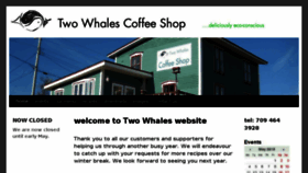 What Twowhales.com website looked like in 2017 (7 years ago)