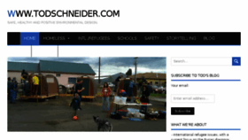 What Todschneider.com website looked like in 2017 (7 years ago)
