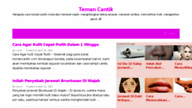 What Temancantik.com website looked like in 2017 (7 years ago)
