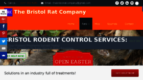 What Thebristolratcompany.co.uk website looked like in 2017 (7 years ago)