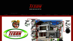 What Teson.co website looked like in 2017 (7 years ago)
