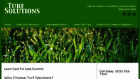 What Turfsolutions.com website looked like in 2017 (6 years ago)