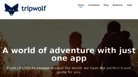 What Tripwolf.com website looked like in 2017 (6 years ago)