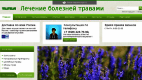 What Travmag.ru website looked like in 2017 (6 years ago)