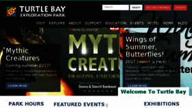 What Turtlebay.org website looked like in 2017 (6 years ago)