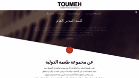What Toumehintl.com website looked like in 2017 (6 years ago)